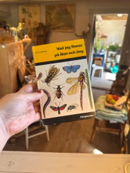 Bok åker och äng