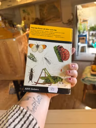 Bok åker och äng