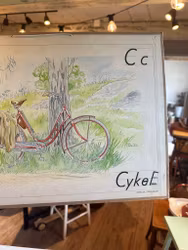Plansch C cykel