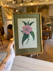 Motiv blomma i ram