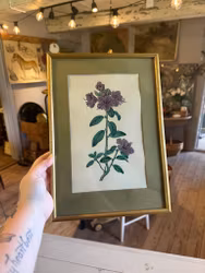 Motiv blomma i ram
