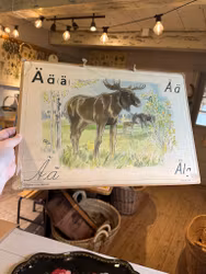 Liten bokstavsplansch Ä för älg