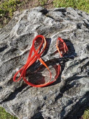 Valppaket med 15 mm koppel och halsband