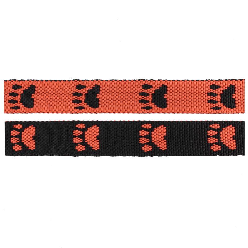 Valppaket med 15 mm koppel och halsband