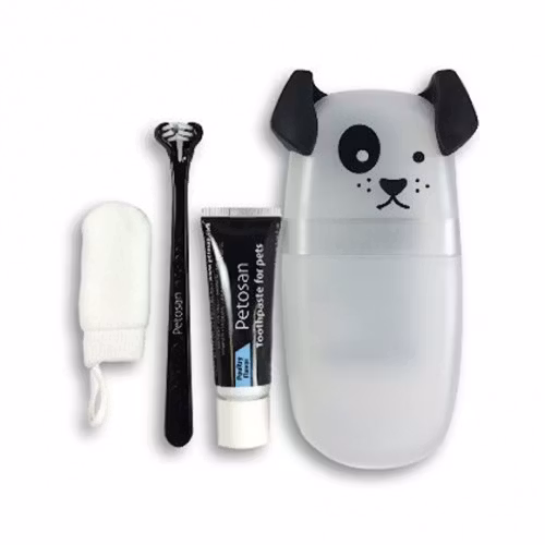 Dental Kit