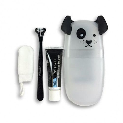 Dental Kit