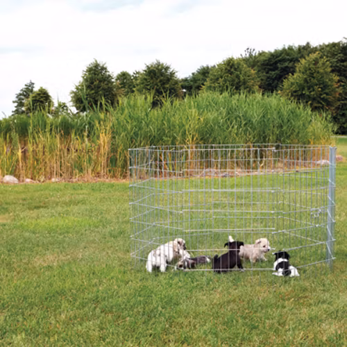 Valphage Metall, 8 sekt: 61 x 91 cm