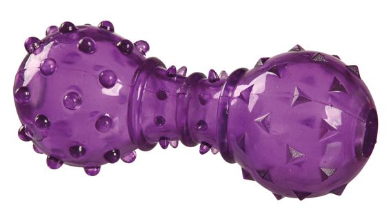 Dog Activity snack apport,