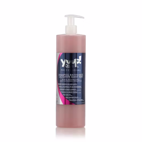 Black Revitalizing and Glossing Shampoo