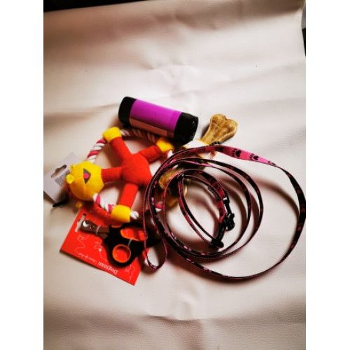 Valp paket med 10m.m. koppel och halsband