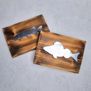 Wooden shield