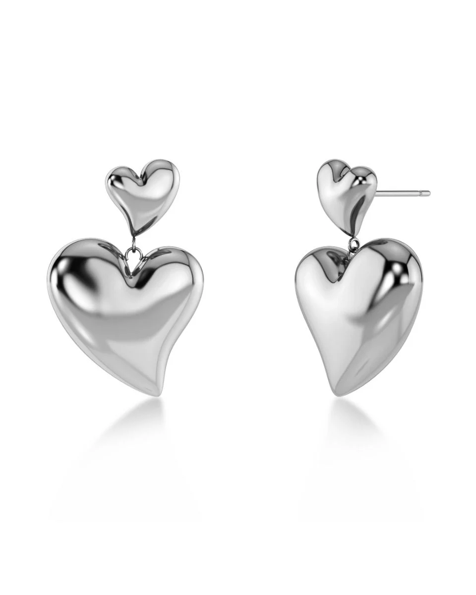 Amorina Earrings Steel