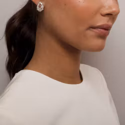 Petite Alice earrings crystal