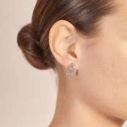 Petite Alice earrings crystal gold