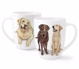 Retriver-muggen Loyal Dog