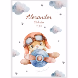 Namntavla - Flygplan