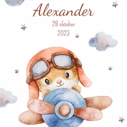 Namntavla - Flygplan