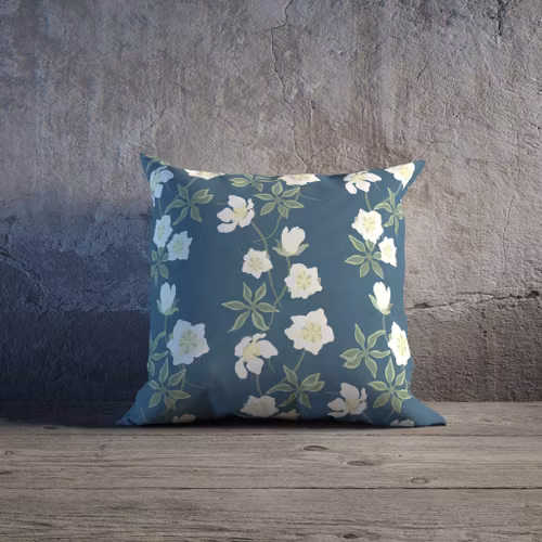 Belle Helle på Sagas snöhimmel, Helleborus julrosen på blått kuddfodral