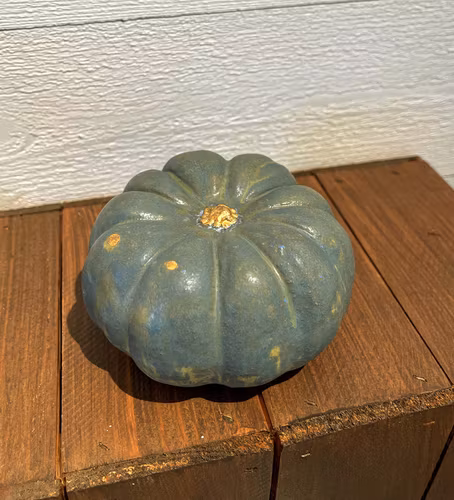 Pumpa "Grön"
