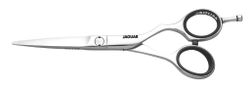 Jaguar Black Line Euro-Tech