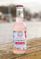 Jordgubb Citrusfizz 200ml, Åhus Tonics