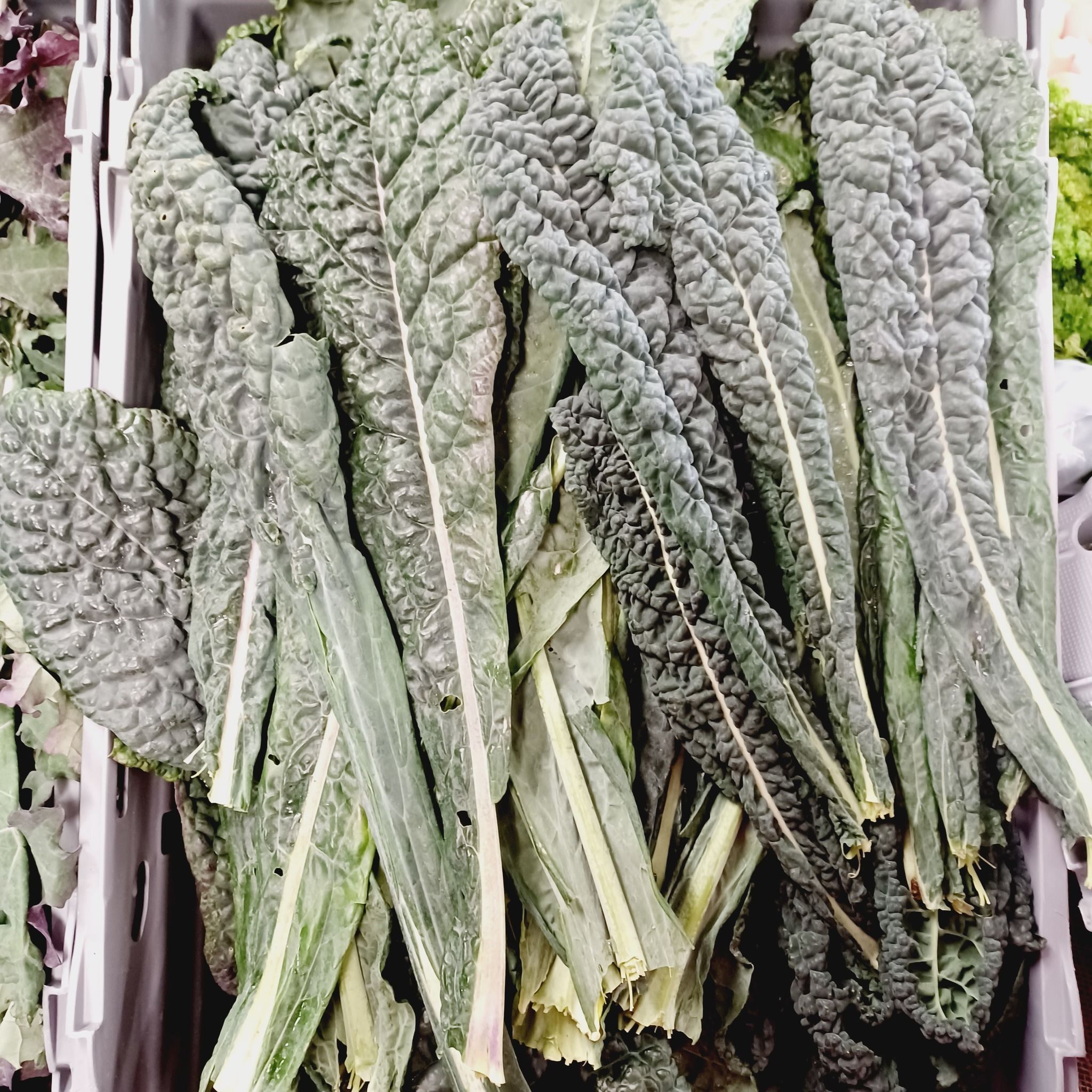 Svartkål stjälkar, 250g