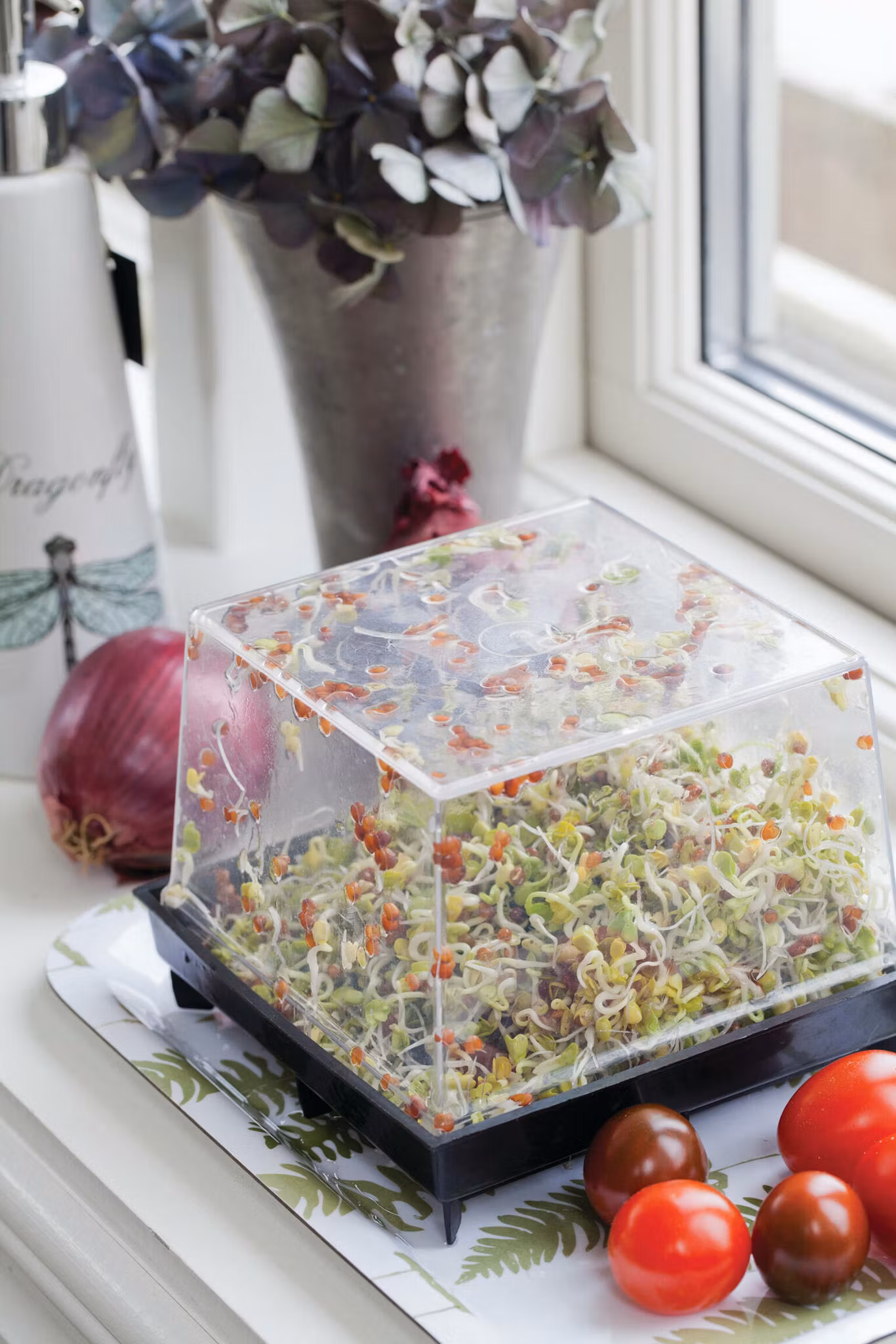 Groddbox