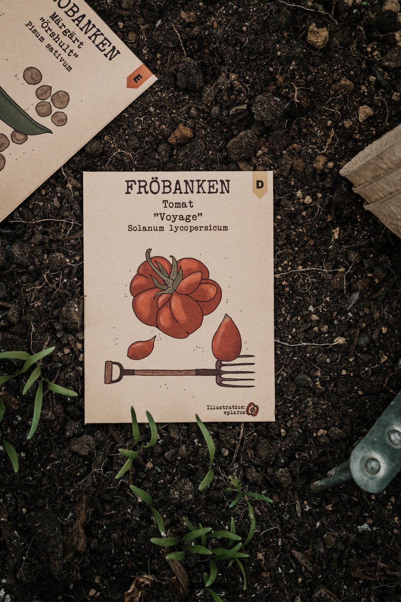 Tomat 'Voyage', Fröbanken