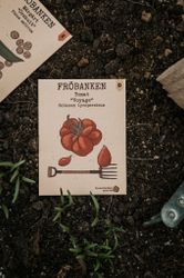 Tomat 'Voyage', Fröbanken
