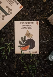 Vattenmelon 'Sugar baby', Fröbanken