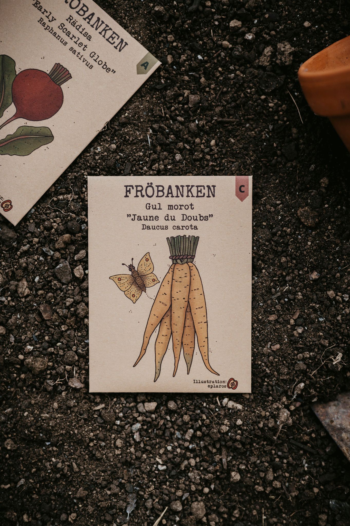 Morot Gul 'Jaune du Doubs', Fröbanken