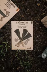 Purjolök 'Winterreuzen 3', Fröbanken