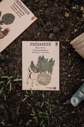 Kålrabbi 'Superschmelz Giant White', Fröbanken