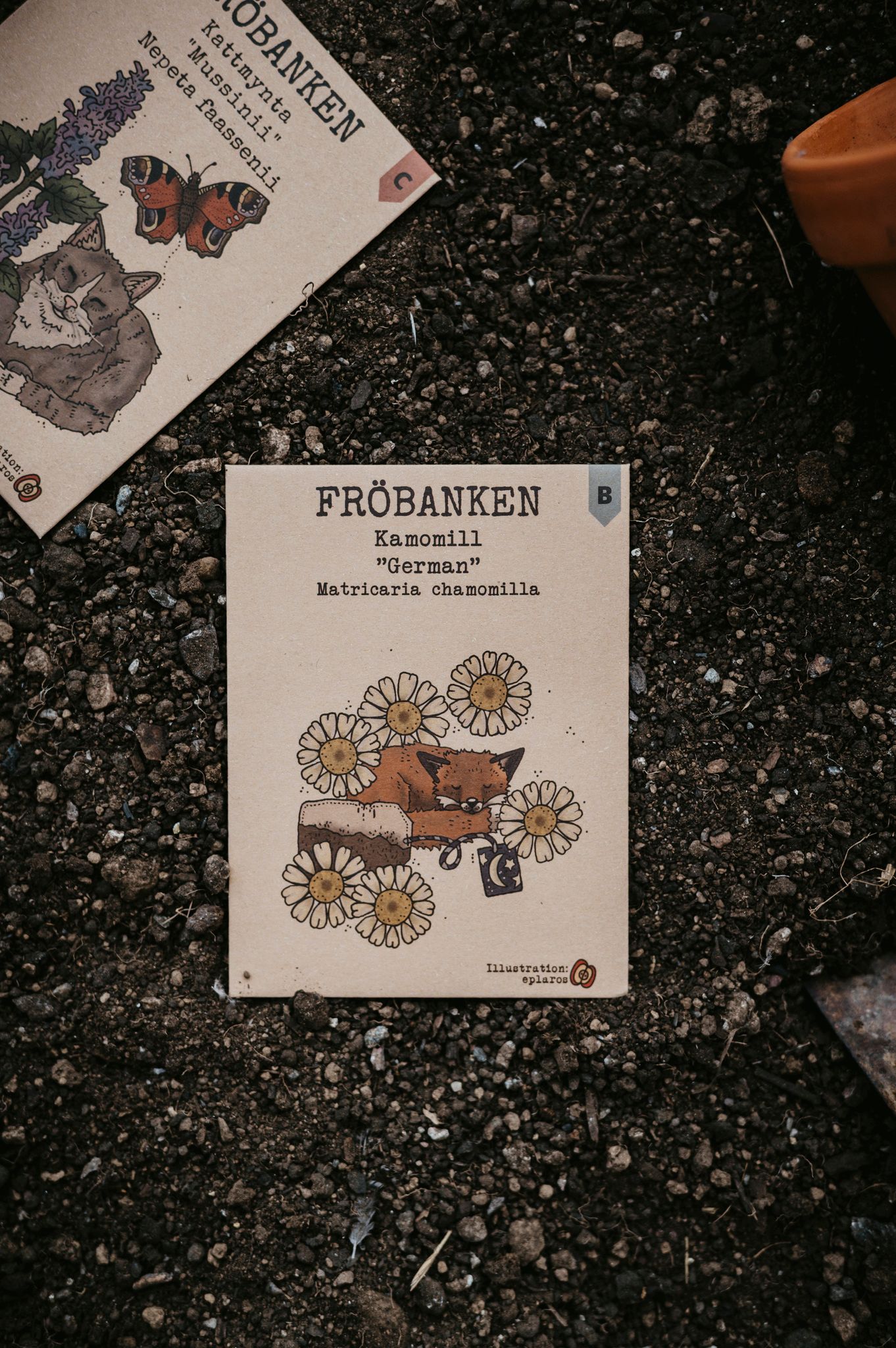 Kamomill 'German' , Fröbanken