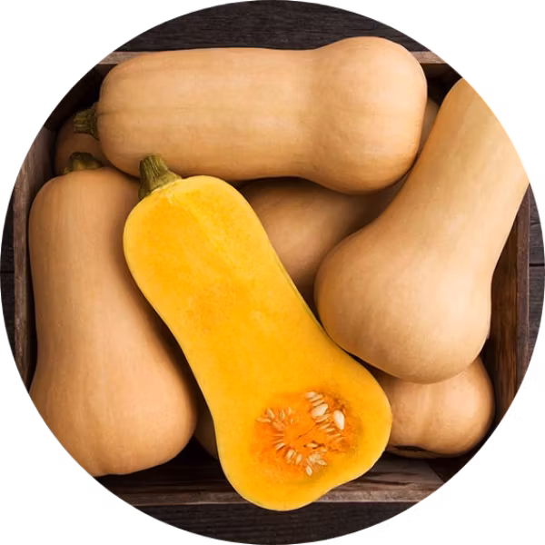 Pumpa, Mysk 'Waltham Butternut', Fröbanken