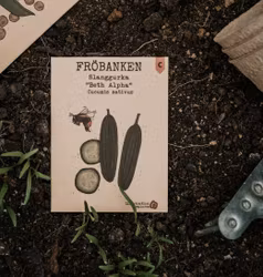 Gurka, Slang 'Beth Alpha', Fröbanken