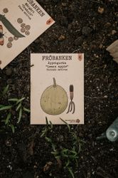 Äppelgurka 'Lemon Apple', Fröbanken
