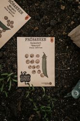 Sockerärt 'Boaryd', Fröbanken