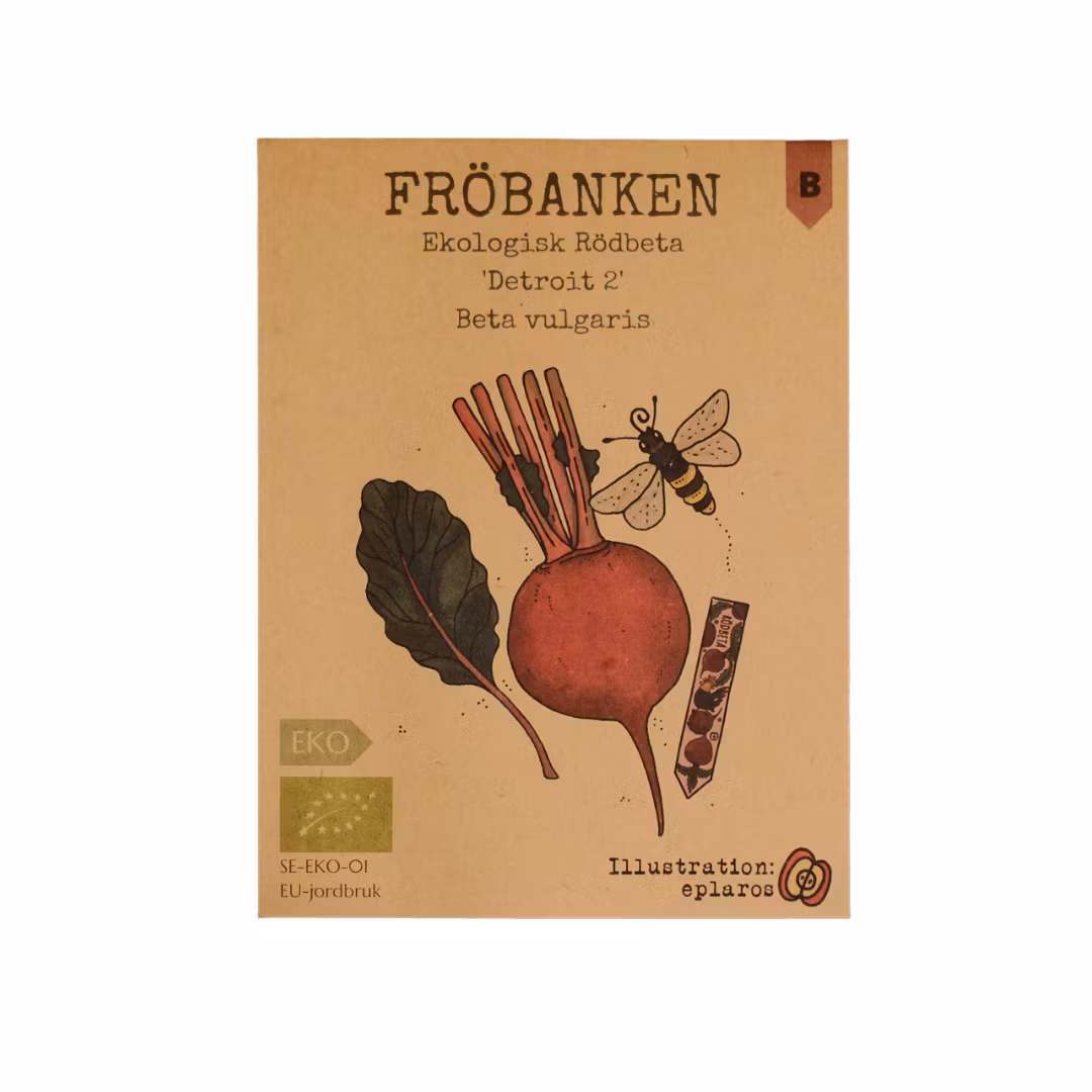 Rödbeta 'Detroit' EKO, Fröbanken
