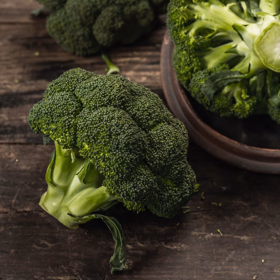 Broccoli 'Sebastian', Fröbanken