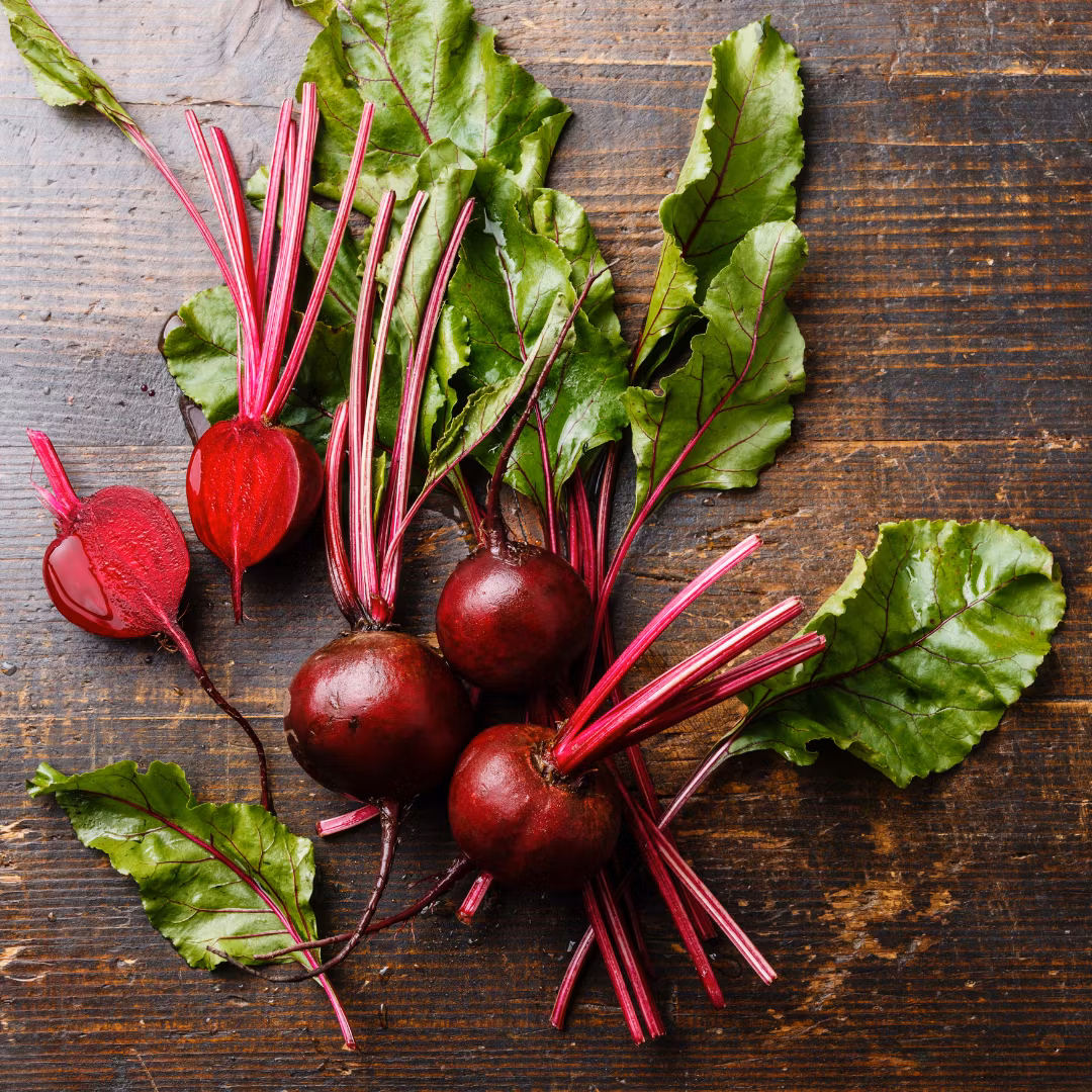 Rödbeta 'Detroit' EKO, Fröbanken