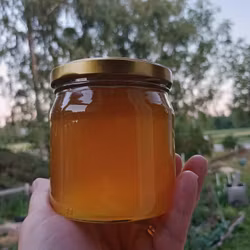 Skogshonung 500g, Björkbacka Gård