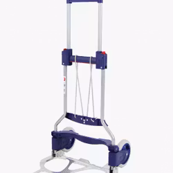 RuXXac-cart Business XL 41 cm