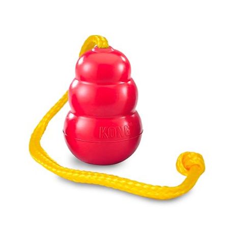 Kong med rep