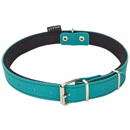 Halsband med fast ring i olika färger.