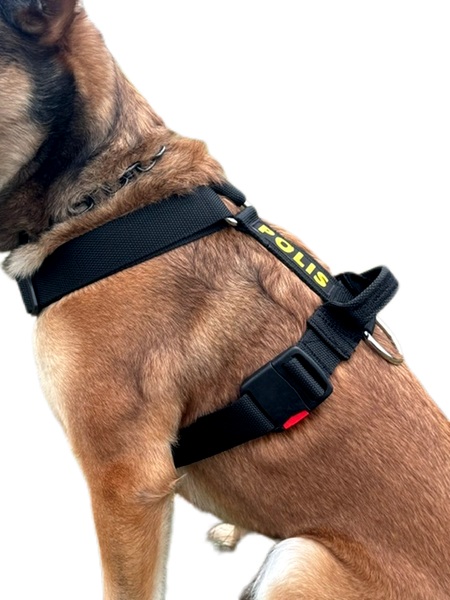 Skydd/spår sele med handtag