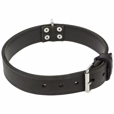 Halsband läder 2 lager