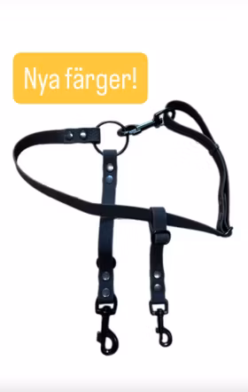 Böttchersele Hexagon