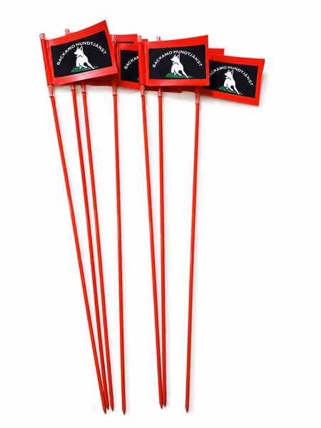 Spårflagga