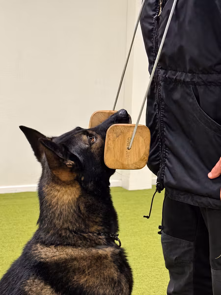 Apportbock med elastiskt band